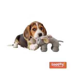 Tootoy! Puppy Peluche Elefante ponte para cães