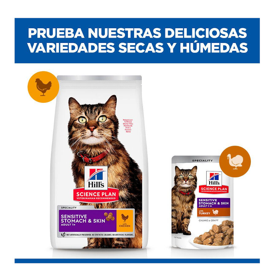1.5 kg Hill's Adult Science Plan Sensitive Stomach Frango ra&ccedil;&atilde;o para gatos, , large Imagem n&uacute;mero 8
