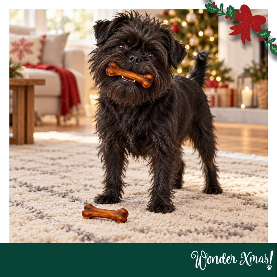 1 pack x 2 uns. Wonder Christmas Dupla de Ossos de Couro Prensado Snacks para C&atilde;es, , large Imagem n&uacute;mero 2