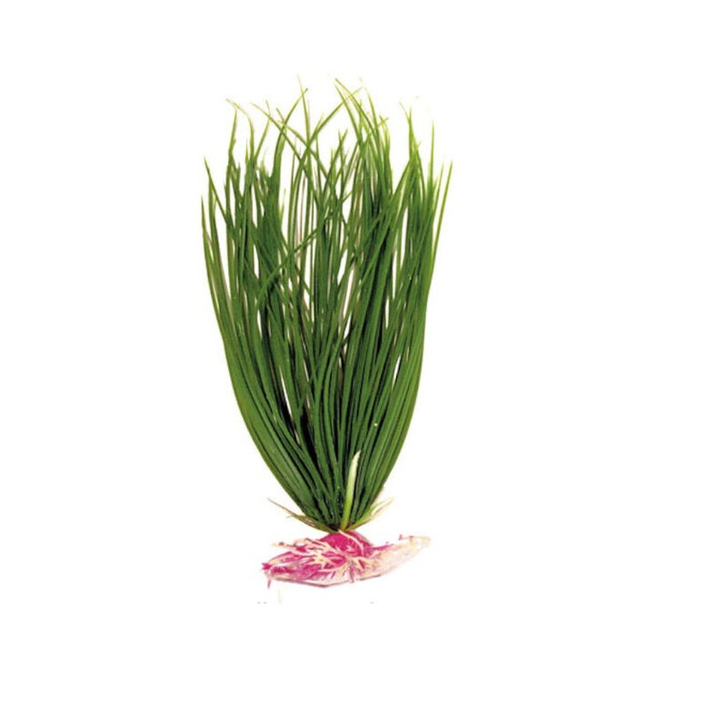 accesorios_acuario_decoracion_planta_plastico_rotala_NAY8011935 Imagem número 1 Croci Acorus planta de plástico para acuarios Imagem número 1