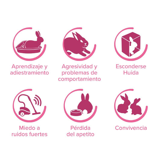 Beaphar RabbitComfort Difusor e recarga para coelhos, , large image number null