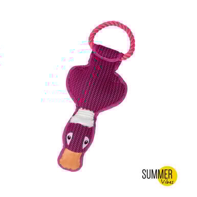 Summer Vibes Corda Duck Mordedor com Corda para cães