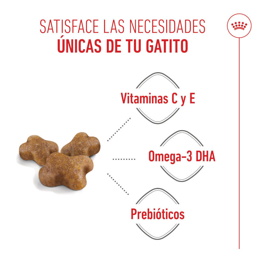 10 kg Royal Canin Kitten ra&ccedil;&atilde;o para gatos, , large Imagem n&uacute;mero 3