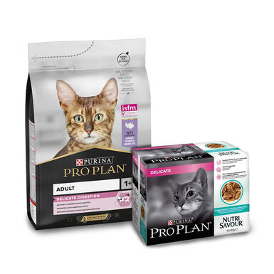 Pro Plan Delicate Digestion Pack de Ração e Alimento Húmido para Gatos