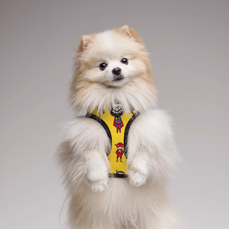 Dukier Superdog Peitoral revers&iacute;vel com estampado Super-Her&oacute;is para c&atilde;es, , large Imagem n&uacute;mero 2