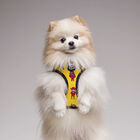 Dukier Superdog Peitoral reversível com estampado Super-Heróis para cães, , large image number null