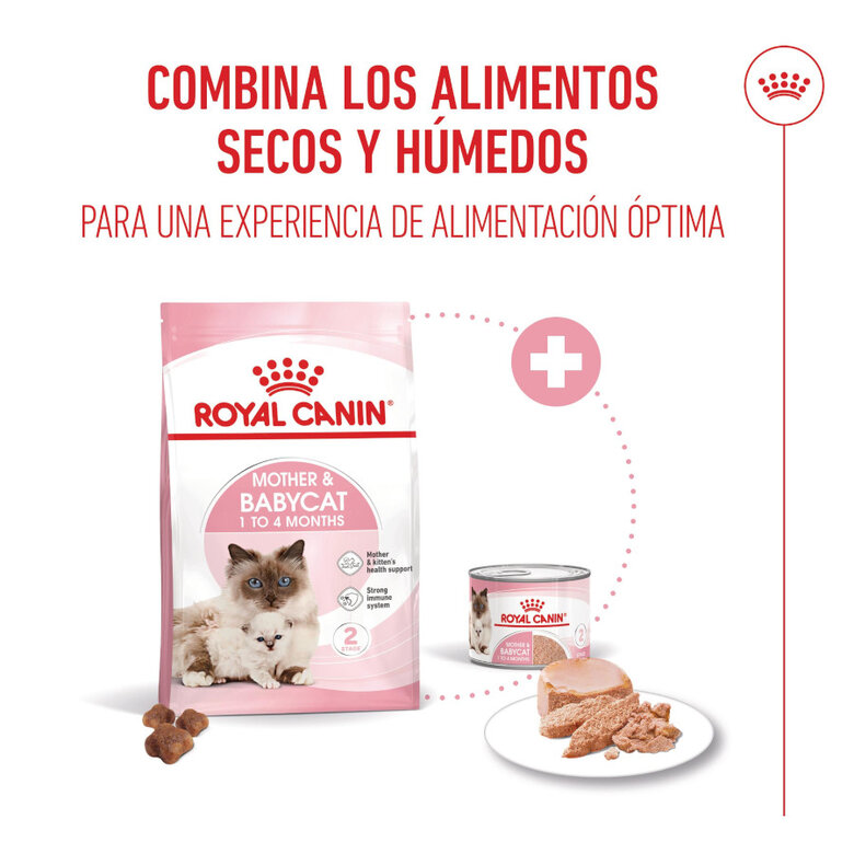 10 kg Royal Canin Mother & Baby ração para gatos,  Imagem número 6 10 kg Royal Canin Mother & Baby ração para gatos, , large Imagem número 6
