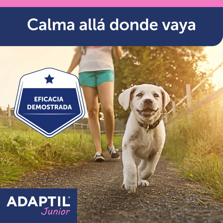 Adaptil Junior Coleira Anti-stress para cães,  Imagem número 8 Adaptil Junior Coleira Anti-stress para cães, , large Imagem número 8