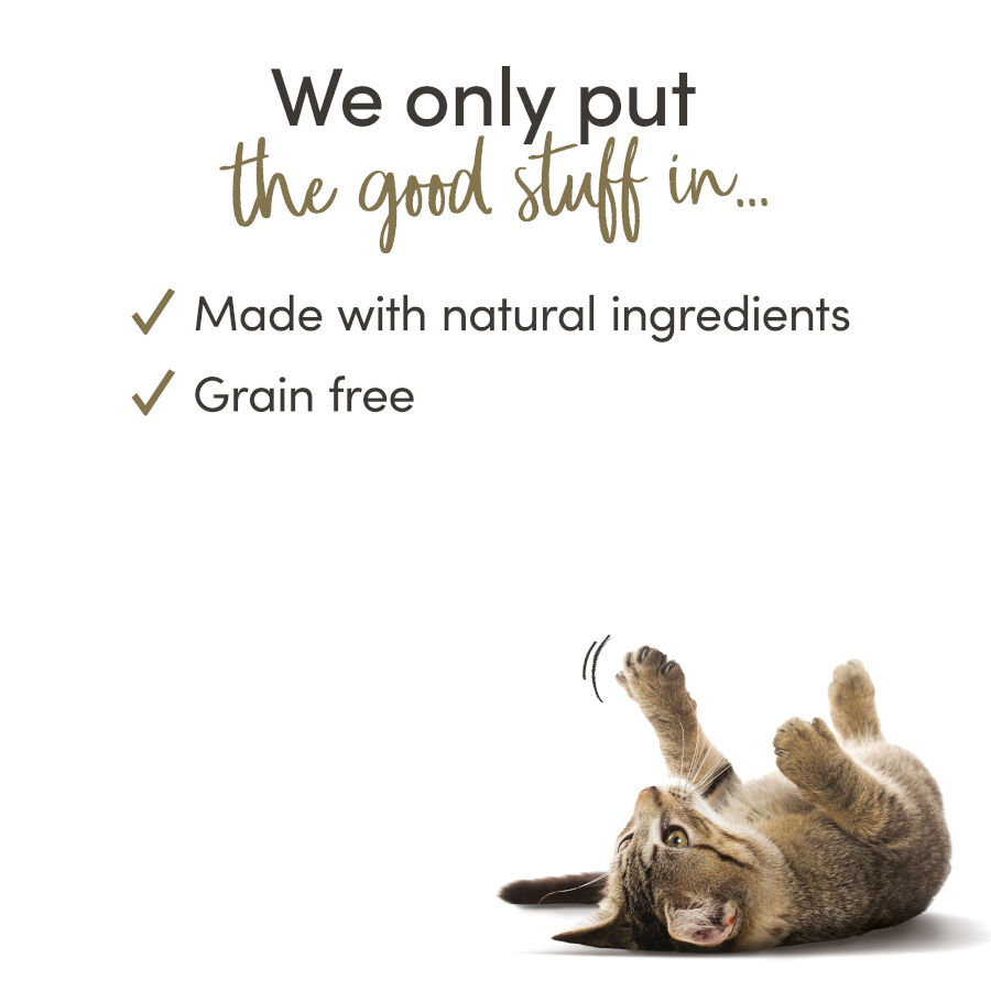 8 uds. x 7 g Applaws Pur&eacute;e Atum Snack para gatos, , large Imagem n&uacute;mero 4