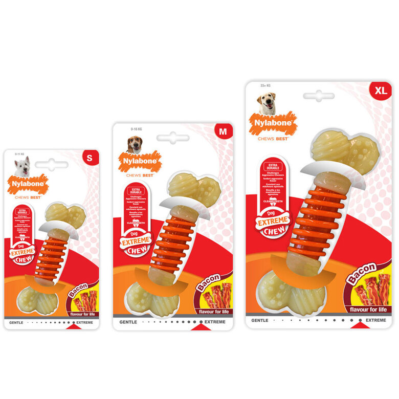 Nylabone Osso Mordedor Dentário com Sabor a Bacon para cães,  Imagem número 4 Nylabone Osso Mordedor Dentário com Sabor a Bacon para cães, , large Imagem número 4