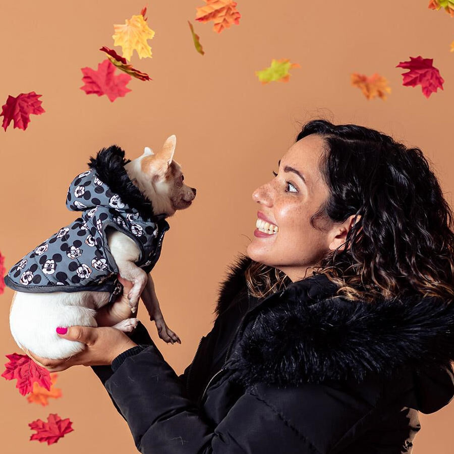 Disney Mickey Mouse Casaco Cinzento com Estampagem para c&atilde;es, , large Imagem n&uacute;mero 5