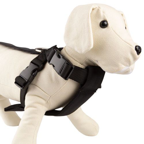 TK-Pet Arn&eacute;s para perros para el coche homologado Imagem n&uacute;mero 1