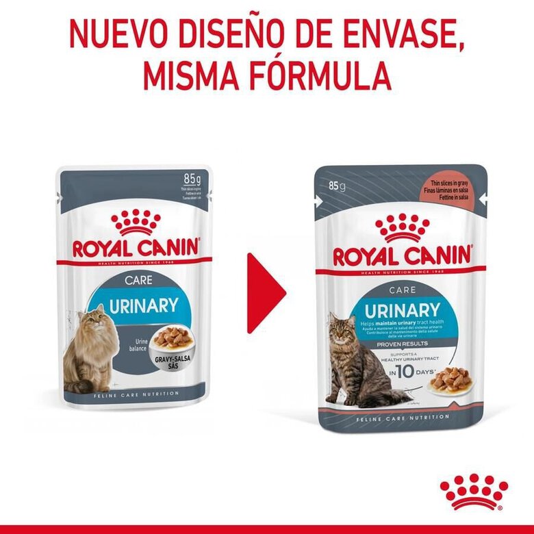 85 g Royal Canin Urinary Care Adult Saqueta em molho para gatos,  Imagem número 3 85 g Royal Canin Urinary Care Adult Saqueta em molho para gatos, , large Imagem número 3