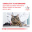 12 saquetas x 85 g Royal Canin Veterinary Gastrointestinal saqueta em molho para gatos, , large Indicador imagem número 8