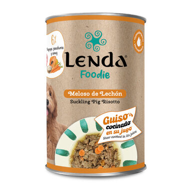 Lenda Refogado de Leitão lata para cães
