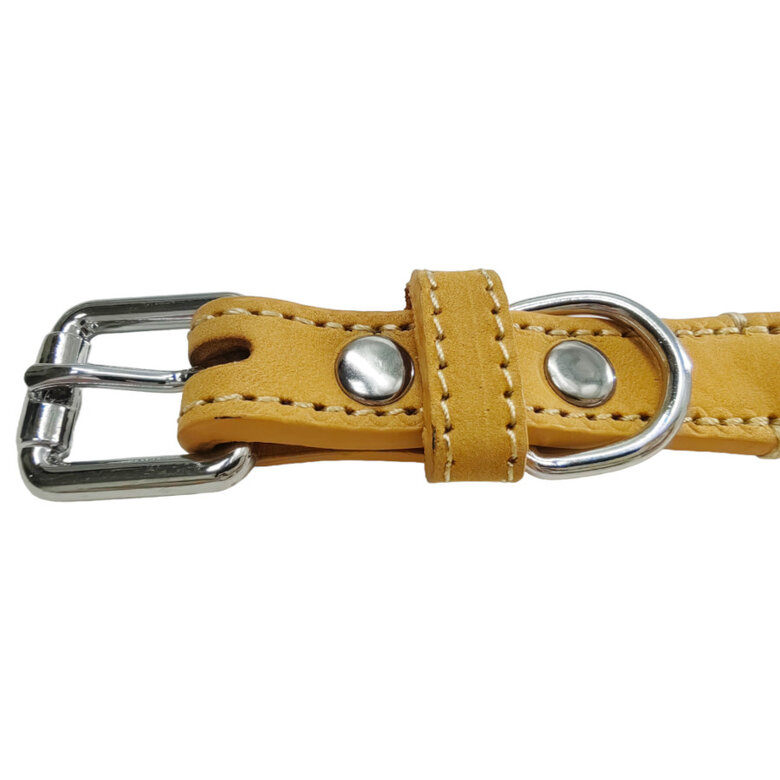 Gotoo Coleira em couro verde para cães,  Imagem número 3 Gotoo Coleira em couro verde para cães, , large Imagem número 3