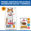 15 kg Hill's Science Plan Sterilised Adult Frango ração para gatos, , large Indicador imagem número 8