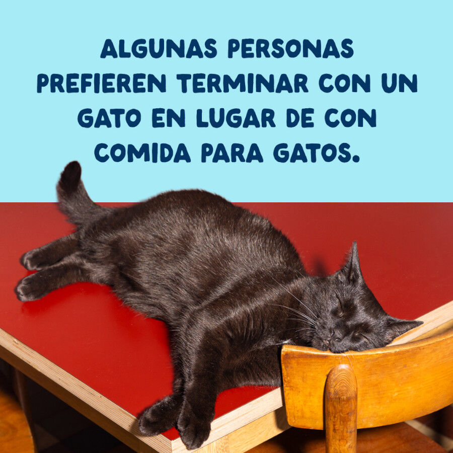 70 g Edgard & Cooper Alimento h&uacute;mido de atum e lula em lata para gatos, , large Imagem n&uacute;mero 9