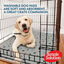 Simple Solution Tapetes laváveis para cães – Pack 2, , large Indicador imagem número 6