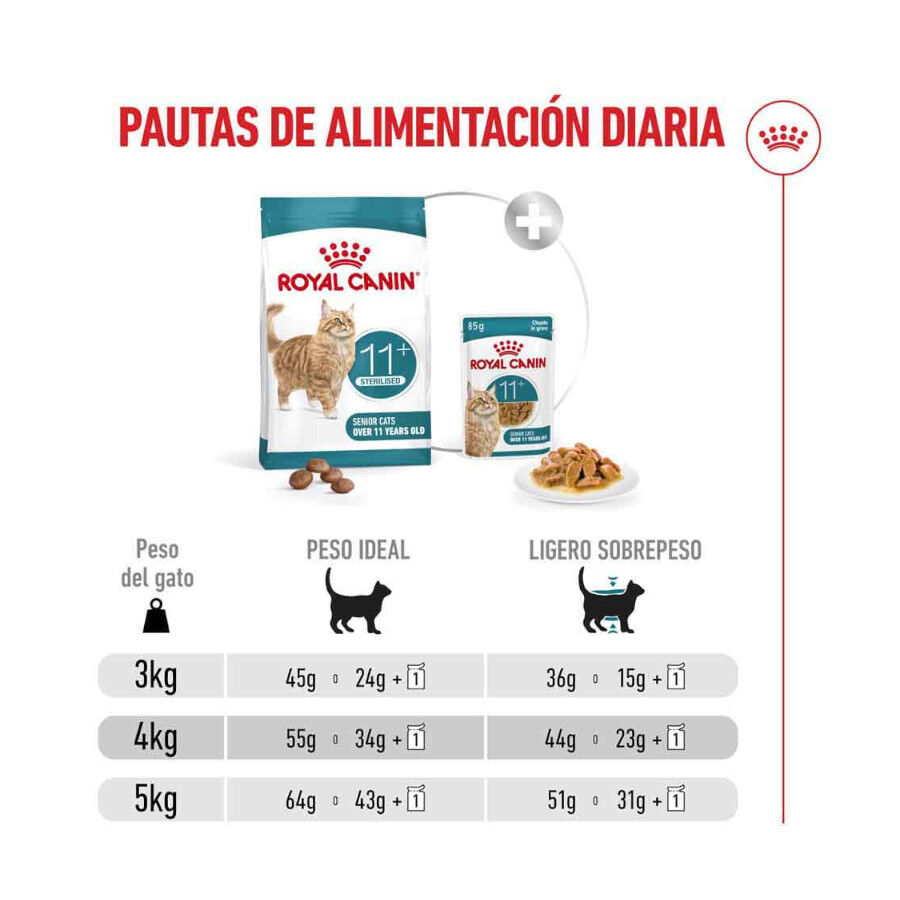 2 kg Royal Canin Ageing 11+ Sterilised ra&ccedil;&atilde;o para gatos, , large Imagem n&uacute;mero 9