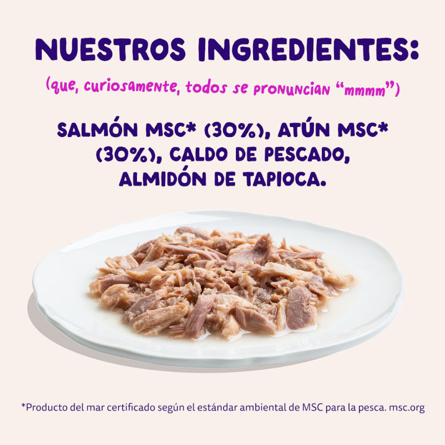 70 g Edgard & Cooper Filetes de Salm&oacute;n y At&uacute;n Lata para gatos, , large Imagem n&uacute;mero 6