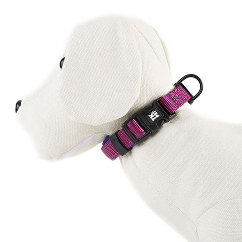 TK-Pet Neo Classic Coleira de Nylon Roxo para cães,  Imagem número 1 TK-Pet Neo Classic collar perro nylon neopreno morado Imagem número 1
