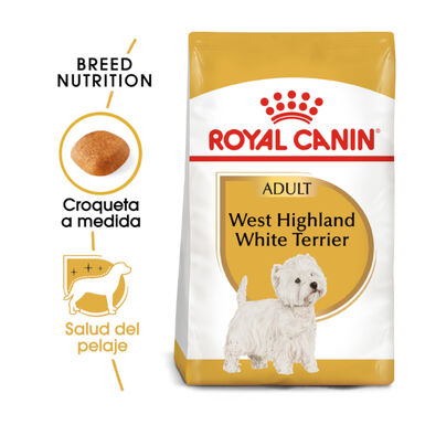 Royal Canin Adult White Terrier West Highland ração para cães