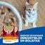 80 g Hill's Adult Science Plan Healthy Cuisine Sterilised Guisado de Frango e Vegetais saqueta para gatos, , large Indicador imagem número 5