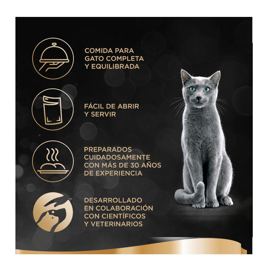 44 terrinas x 85 g Sheba Finesse Comida h&uacute;mida Pat&eacute; de Frango e Salm&atilde;o em terrina para gatos, , large Imagem n&uacute;mero 2