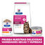 24 saquetas x 85 g Hill's Prescription Diet Feline GI Biome Digestive Care Frango e Legumes em molho Saqueta Pack poupança!, , large Indicador imagem número 4