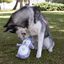 Wonder Christmas Coruja Polar de peluche de Natal para cães , , large Indicador imagem número 3