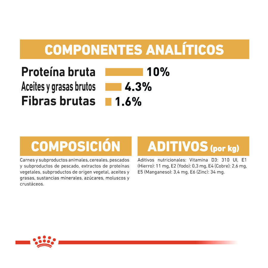 85 g Royal Canin Maine Coon alimento h&uacute;mido para gatos, , large Imagem n&uacute;mero 8