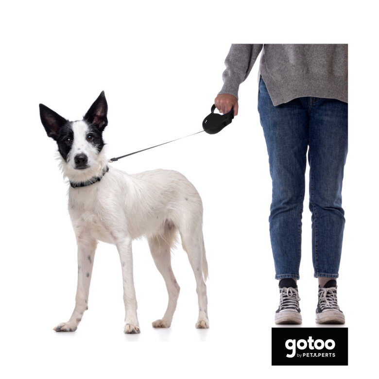 Gotoo Trela extensível preta para cães,  Imagem número 3 Gotoo Trela extensível preta para cães, , large Imagem número 3