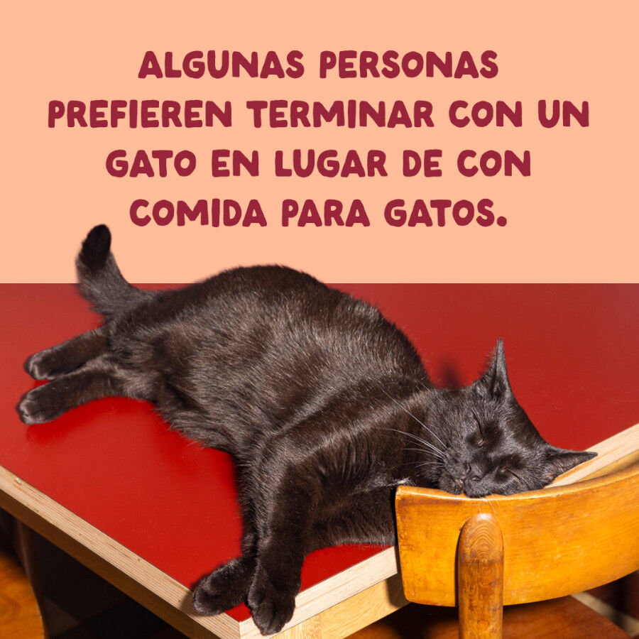 70 g Edgard & Cooper Filetes de Pollo Lata para gatos, , large Imagem n&uacute;mero 9