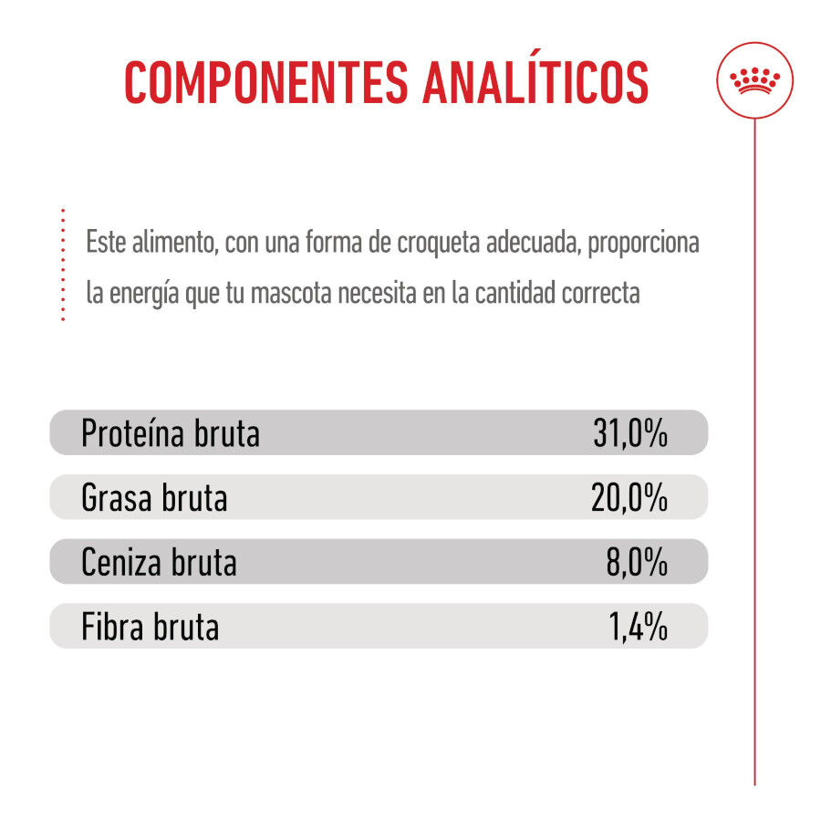 8 kg Royal Canin Mini Puppy ra&ccedil;&atilde;o para c&atilde;es, , large Imagem n&uacute;mero 9