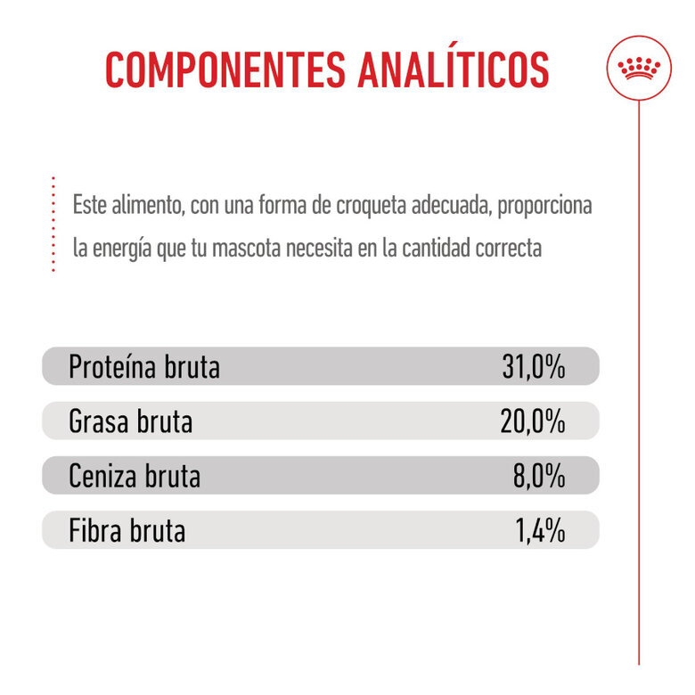 8 kg Royal Canin Mini Puppy ração para cães,  Imagem número 9 8 kg Royal Canin Mini Puppy ração para cães, , large Imagem número 9