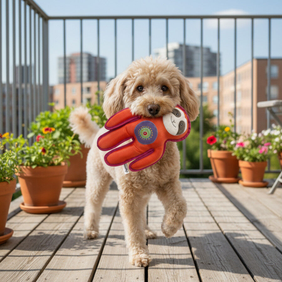 Tootoy! Comfort Peluche bicho-pregui&ccedil;a para c&atilde;es, , large Imagem n&uacute;mero 1