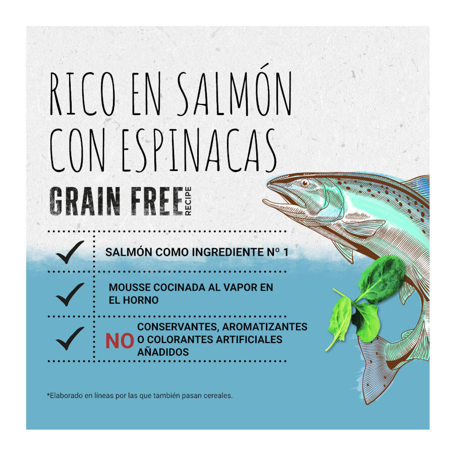 85 g Beyond Grain Free Salm&atilde;o lata para gatos, , large Imagem n&uacute;mero 2