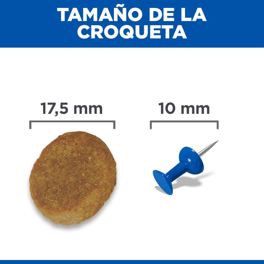 18 kg Hill's Science Plan Mature Adult Large Frango ra&ccedil;&atilde;o para c&atilde;es, , large Imagem n&uacute;mero 9