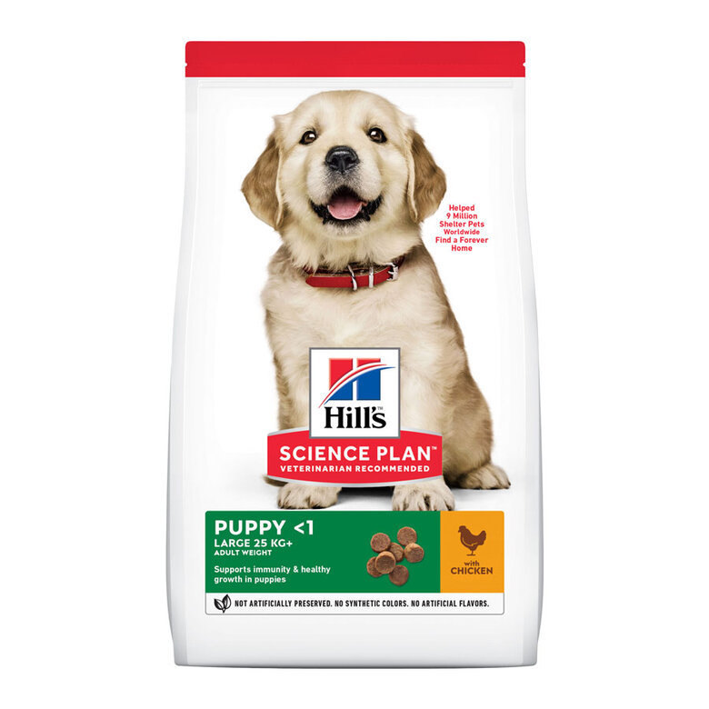 Hill's Science Plan Puppy Large Frango ração para cães, , large image number null