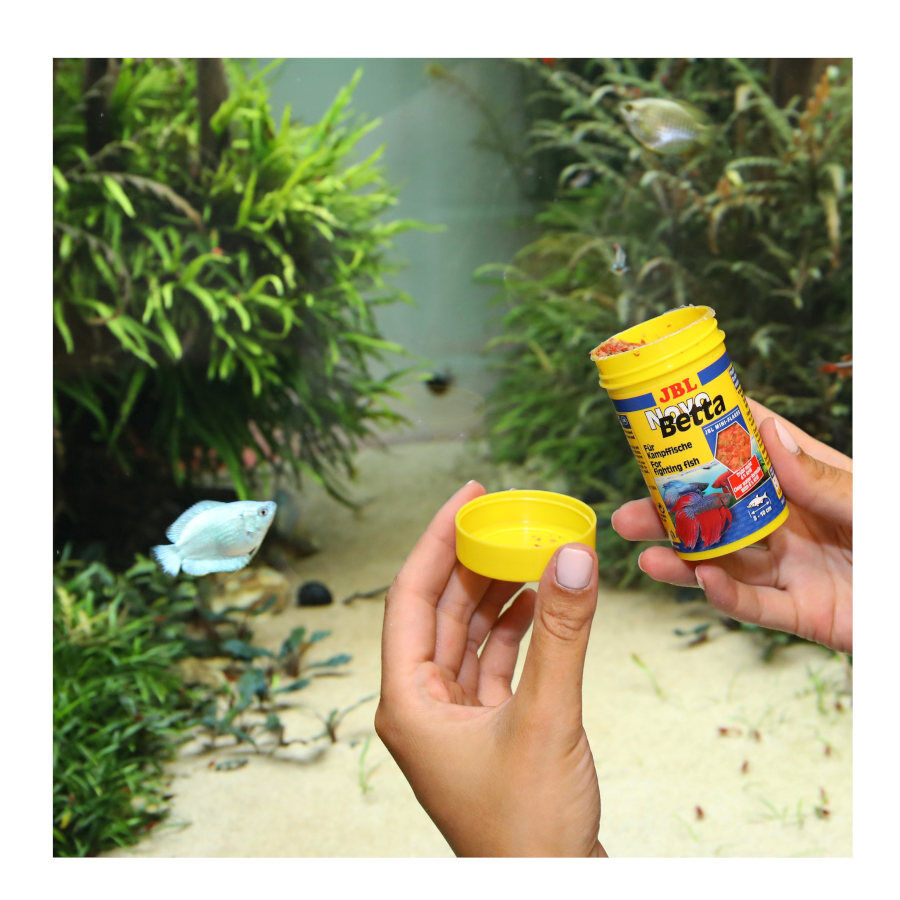 JBL Novo Betta Escamas , , large Imagem n&uacute;mero 5