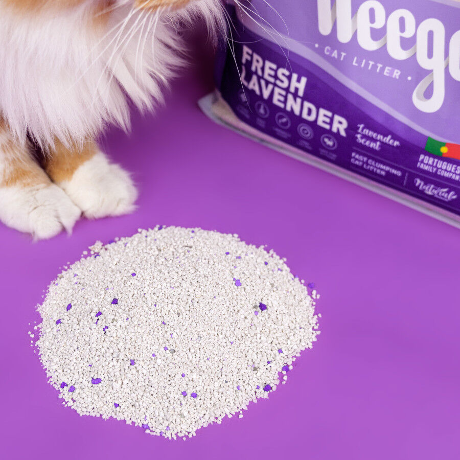 Weego Fresh Lavender Areia Aglomerante para gatos, , large Imagem n&uacute;mero 2
