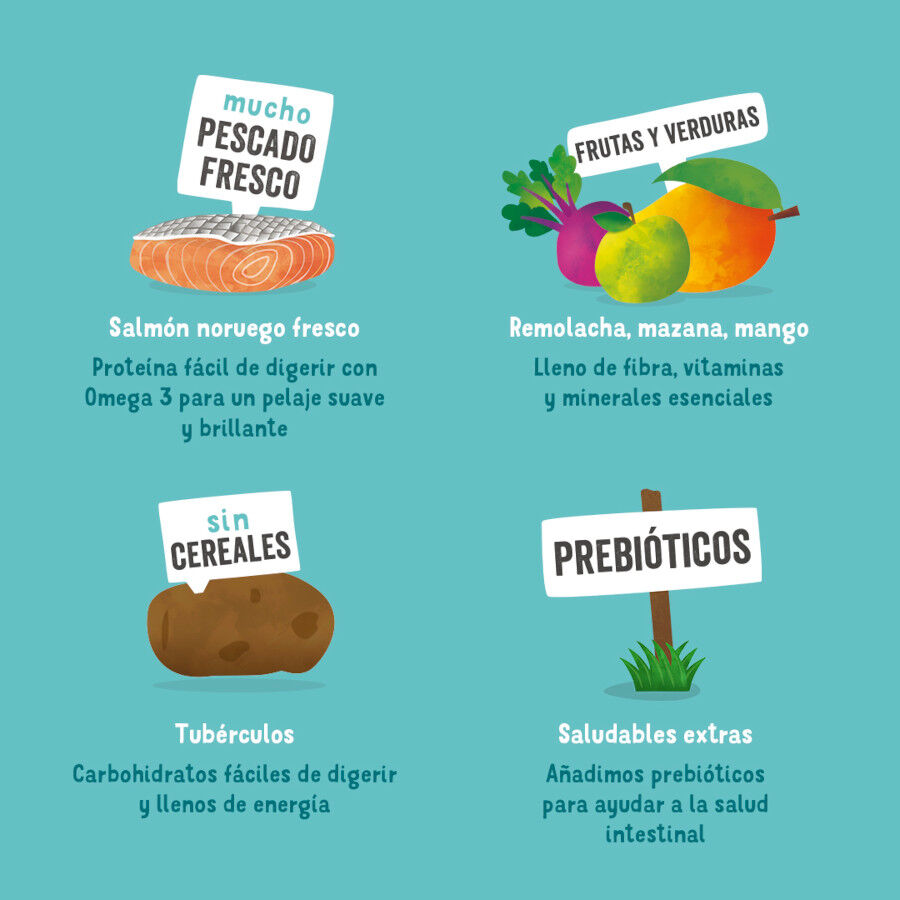 12 kg Edgard Y Cooper Adult Salm&atilde;o ra&ccedil;&atilde;o para c&atilde;es, , large Imagem n&uacute;mero 4