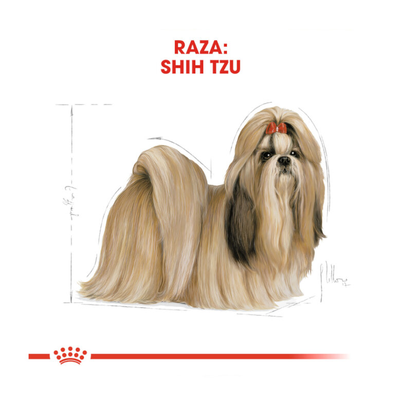 1.5 kg Royal Canin Adult Shih Tzu ração para cães,  Imagem número 4 1.5 kg Royal Canin Adult Shih Tzu ração para cães, , large Imagem número 4