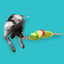 Wonder Christmas Duende de Cordas peluche de Natal para cães , , large Indicador imagem número 2