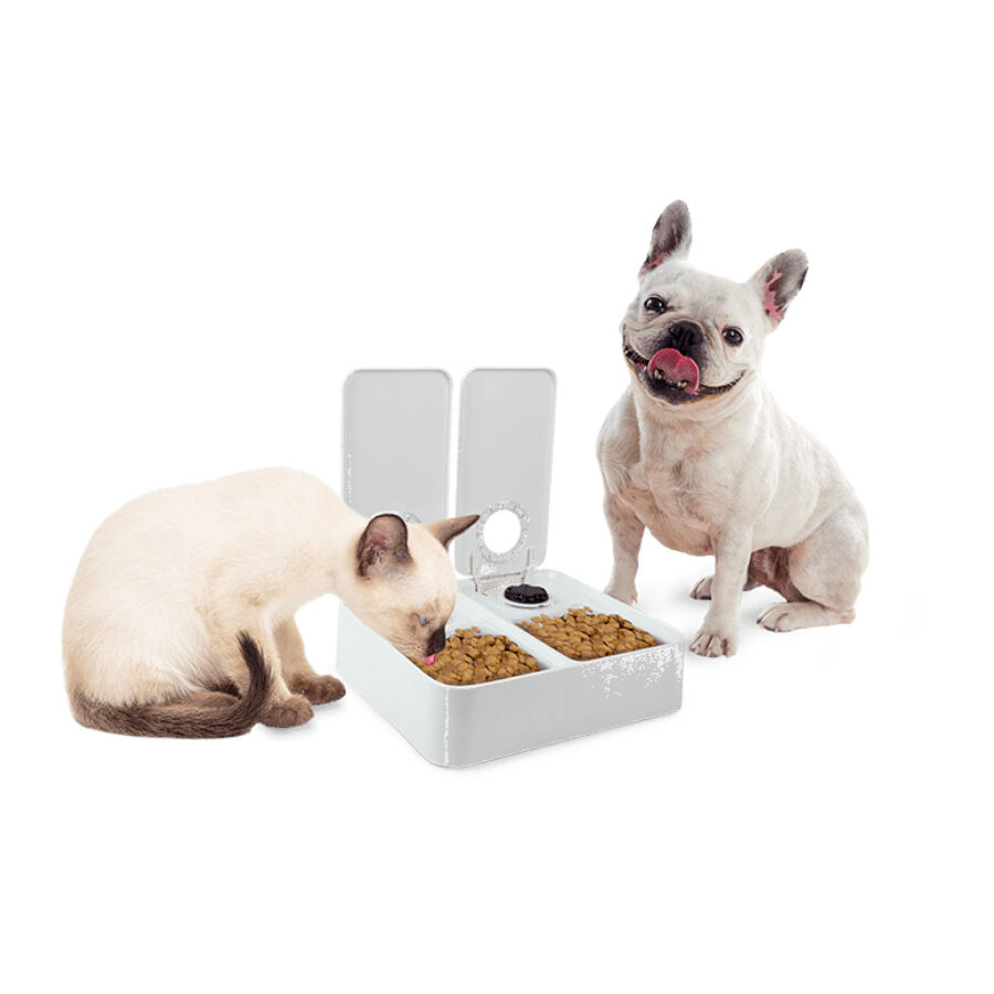 All For Paws Liftstyle4Pets Comedouro Autom&aacute;tico Duplo para c&atilde;es e gatos, , large Imagem n&uacute;mero 4