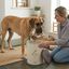 Leeby Recipiente para Ra&ccedil;&atilde;o para c&atilde;es, , large Indicador imagem n&uacute;mero 1
