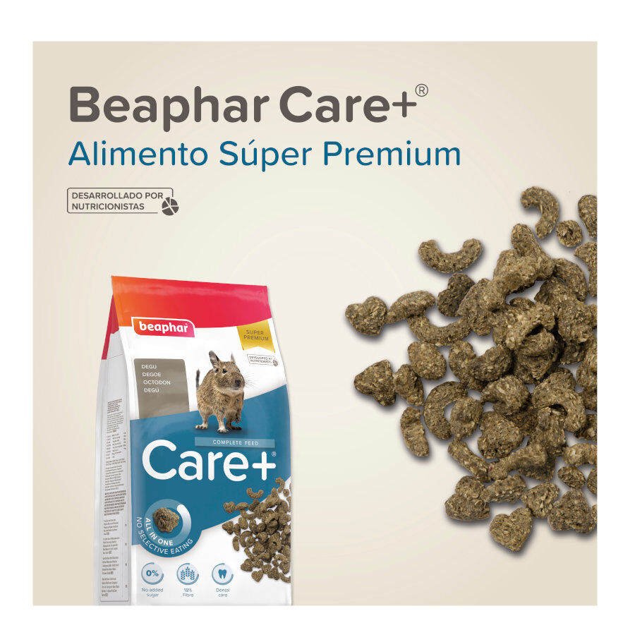 Beaphar Care+ Ra&ccedil;&atilde;o para degus, , large Imagem n&uacute;mero 8