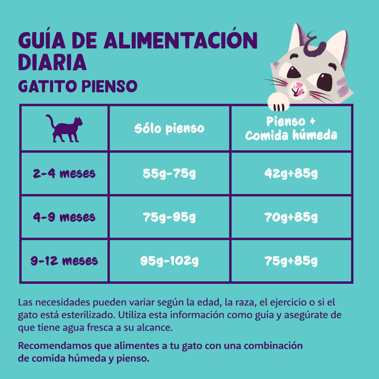 2 kg Edgard & Cooper Kitten Ração de pato e frango para gatinhos ,  Imagem número 4 2 kg Edgard & Cooper Kitten Ração de pato e frango para gatinhos , , large Imagem número 4