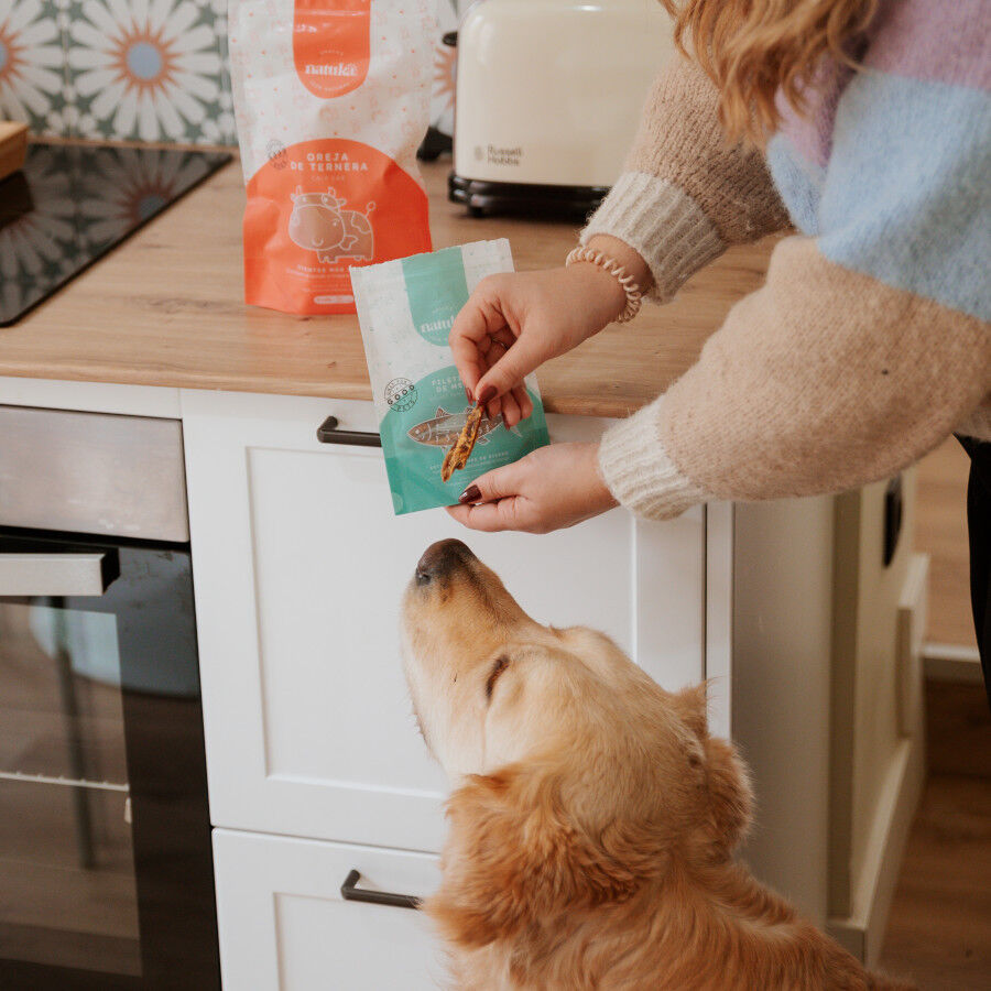 50 g Natuka Melva Filetitos Petisco Natural para c&atilde;es e gatos, , large Imagem n&uacute;mero 2